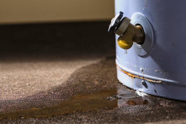 Best Flood restoration services  in Myersville, MD