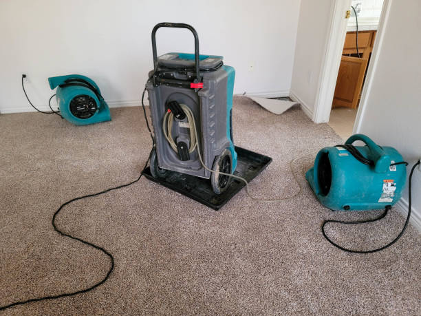 Best Basement water damage restoration  in Myersville, MD