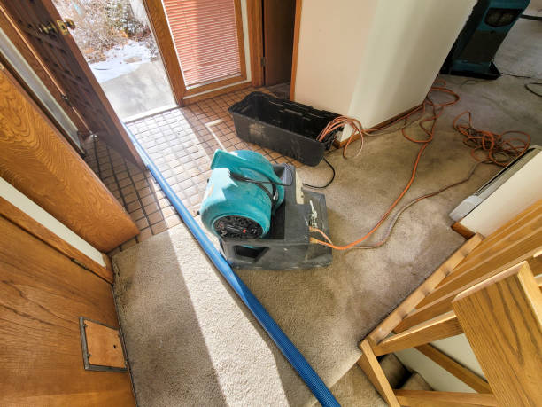 Best Fire Damage Restoration  in Myersville, MD