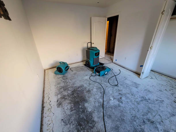 Best Flood restoration services  in Myersville, MD