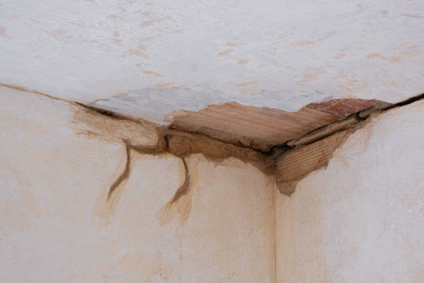 Best Flood restoration services  in Myersville, MD