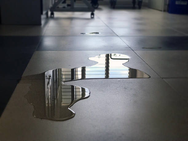 Best 24/7 water damage repair  in Myersville, MD