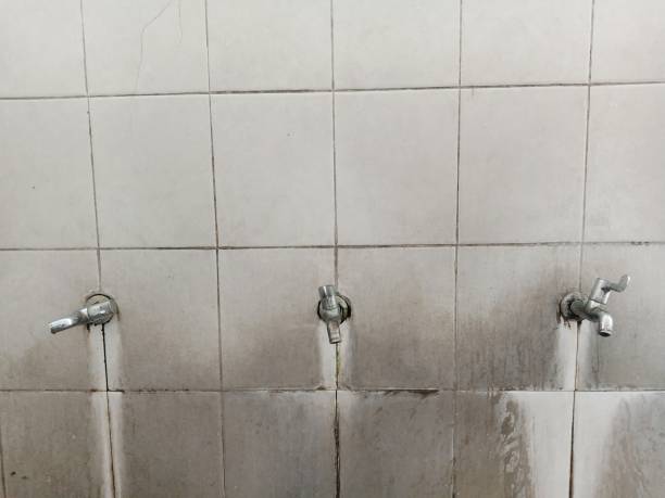 Best Flood damage cleanup  in Myersville, MD