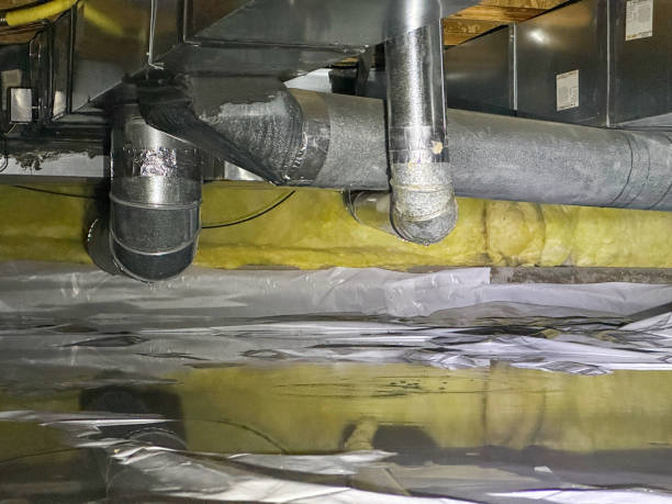 Best Professional water damage repair  in Myersville, MD