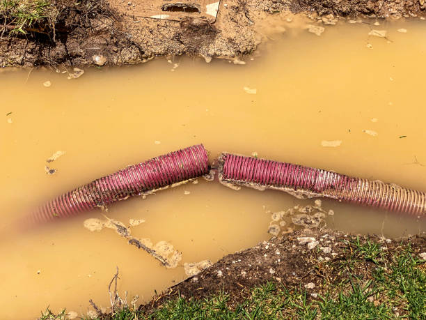 Best Water damage restoration experts  in Myersville, MD