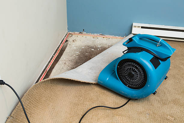 Sewage cleanup and water damage restoration in Myersville, MD
